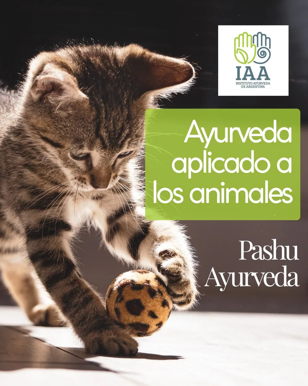 Ayurveda en nuestros animales de compañía